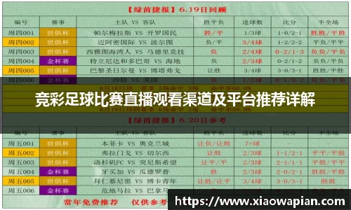 熊猫体育app官网入口